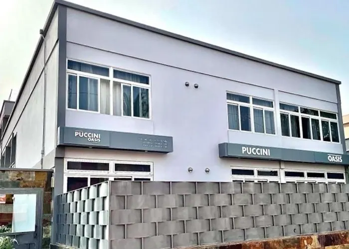 Puccini Oasis - Sole E *