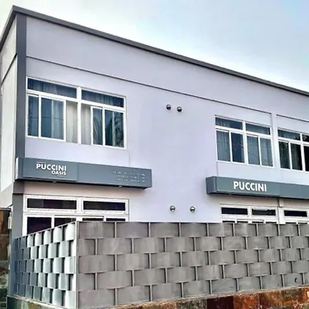 Puccini Oasis - Sole E *